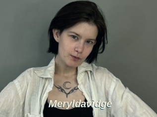 Meryldavidge