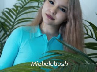 Michelebush