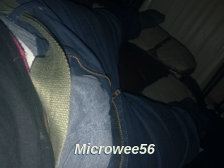 Microwee56