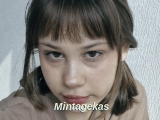 Mintagekas
