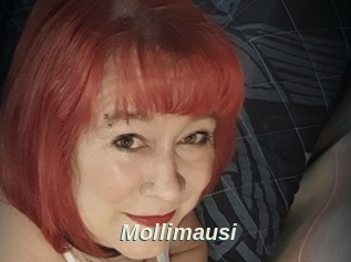 Mollimausi