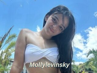 Mollylevinsky