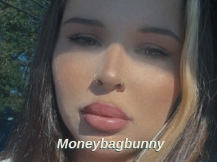 Moneybagbunny