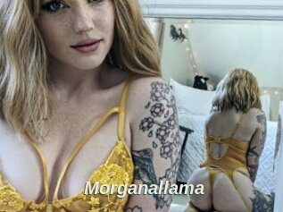 Morganallama