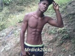 Mrdick20cm