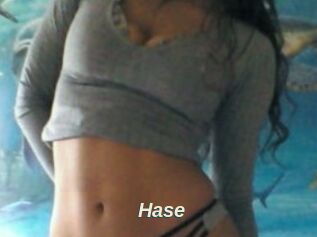 Hase
