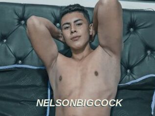 NELSONBIGCOCK