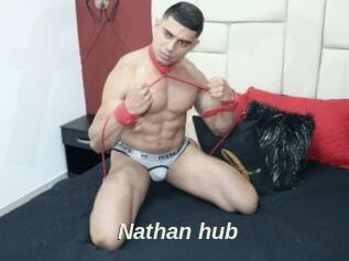 Nathan_hub