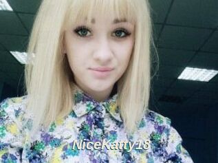 NiceKatty18