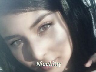 Nicekitty