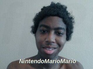 NintendoMarioMario