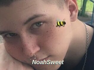 NoahSweet