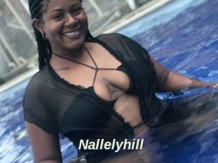 Nallelyhill