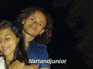 Nattandjunior