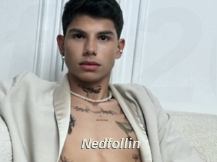 Nedfollin