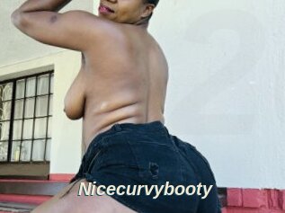 Nicecurvybooty