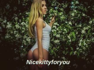 Nicekittyforyou