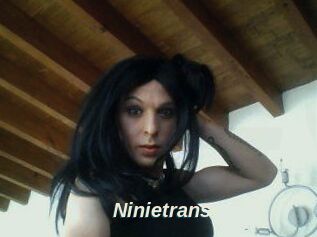 Ninietrans