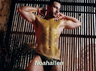 Noahallen