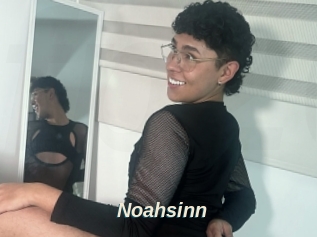 Noahsinn