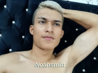 Noahsmitt