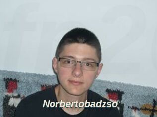Norbertobadzso