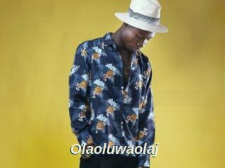 Olaoluwaolaj