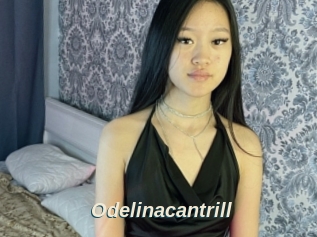 Odelinacantrill