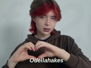 Odellahakes