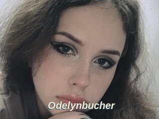 Odelynbucher