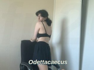 Odettacaecus