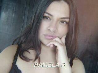 PAMELA_B