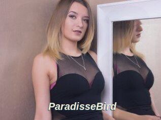 ParadisseBird