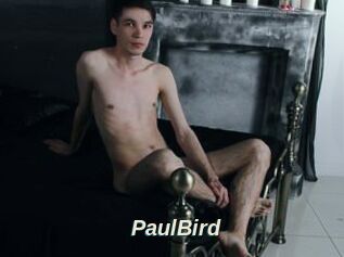 PaulBird