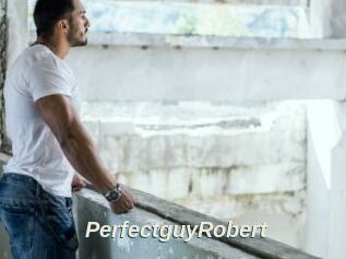 PerfectguyRobert
