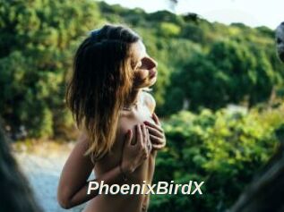 PhoenixBirdX