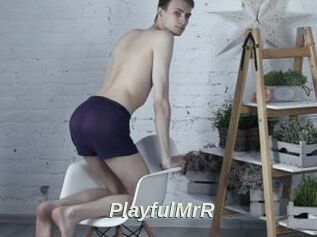 PlayfulMrR