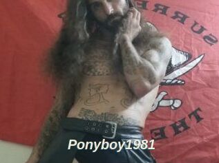 Ponyboy1981