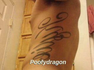 Poofydragon