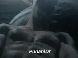 PunaniDr