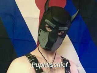 PupMischief