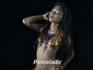 Pameladir