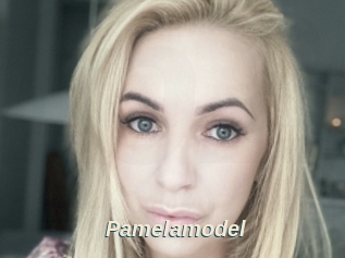 Pamelamodel