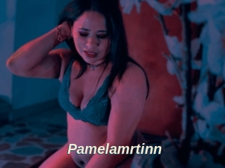 Pamelamrtinn
