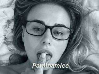 Paulinamice