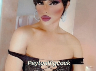 Paytonbigcock