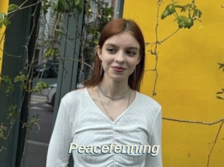 Peacefenning