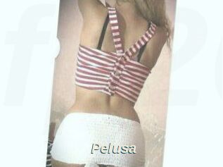 Pelusa