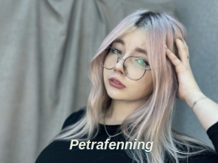 Petrafenning