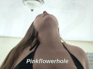 Pinkflowerhole